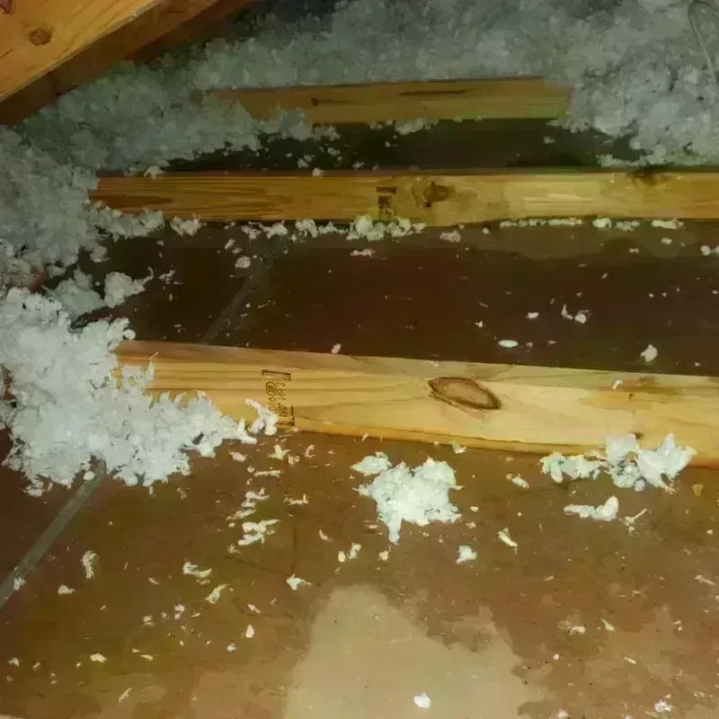 Attic Water Damage in Minden, NE